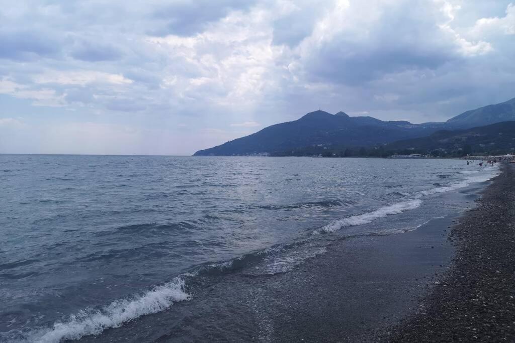 Villa Cilento Mare, Bellissima Con Ampio Giardino Capitello Zewnętrze zdjęcie